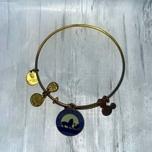 Alex & Ani bracelet